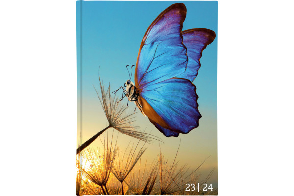 BIELLA Schüleragenda Animal 23/24 806544830024 1T/1S, wattiert,FSC 12x16.5cm