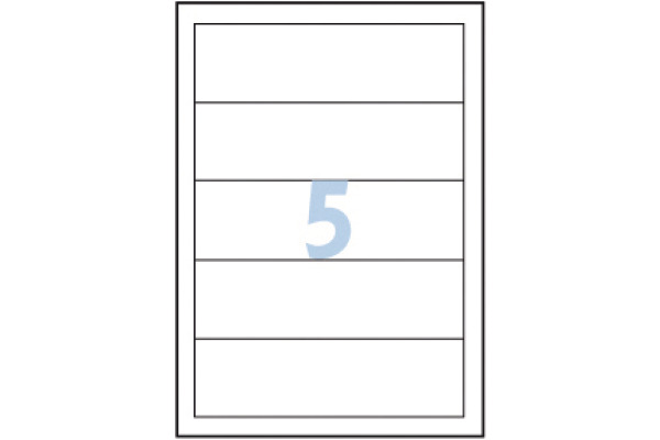 AVERY ZWECKFORM Rückenschild Ordner 50x146mm 32231Z weiss 125 Stück/25 Blatt