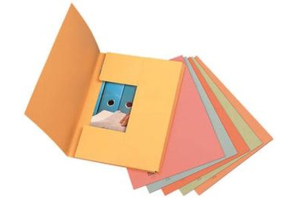 BIELLA Aktensammler Juramappe 17040045U rot