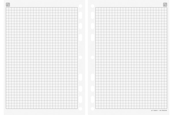 IDE Timing 3 Notizen kariert 7067451.24 32 Blatt 76x127mm