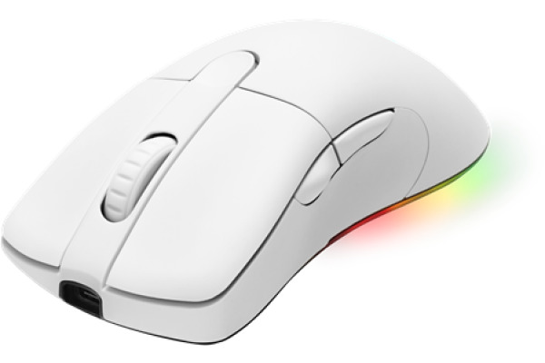DELTACO Wireless Gaming Mouse,RGB GAM-107-W white, WM90
