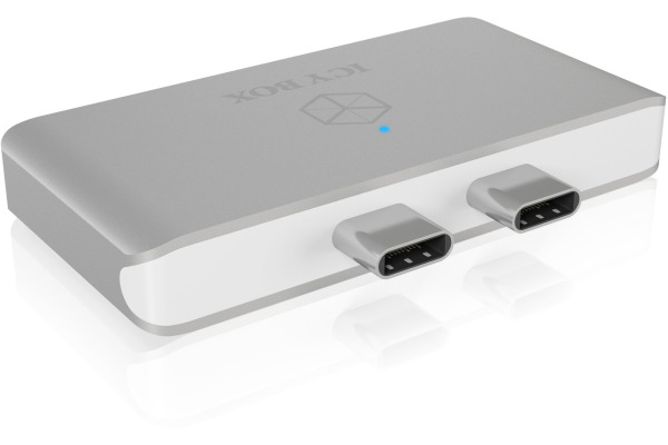 ICY BOX DockingStation IB-DK4030-2C Dual Type-C