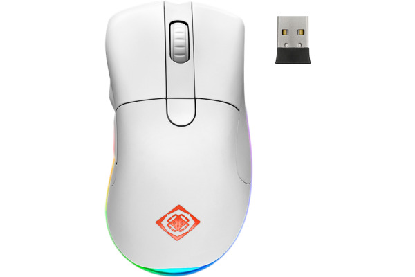 DELTACO Wireless Gaming Mouse,RGB GAM-107-W white, WM90