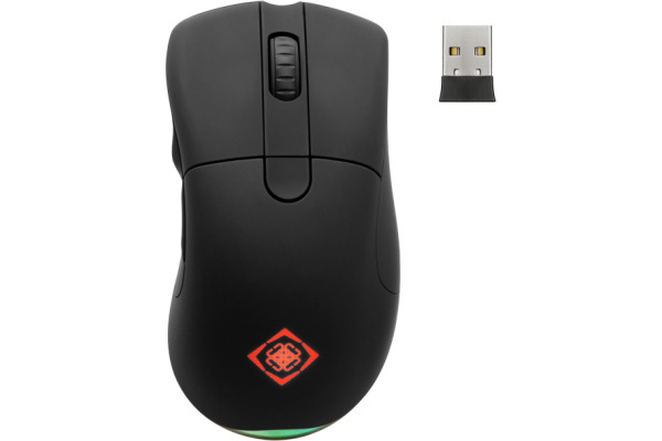 DELTACO Wireless Gaming Mouse,RGB GAM-107 black, DM430