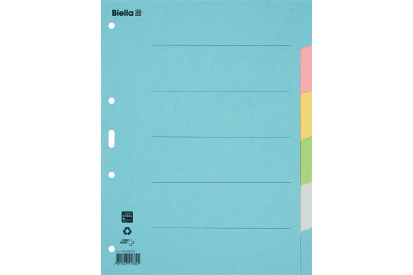 BIELLA Register Karton farbig A4 46140600U 6-teilig, blanko